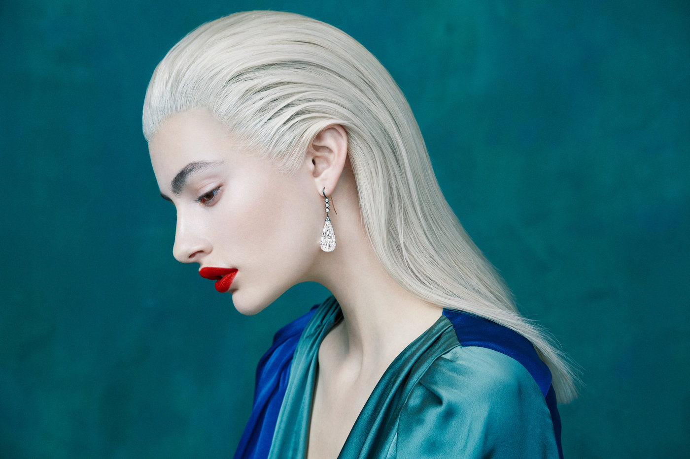 Plates « Sotheby's « Commissions « Erik Madigan Heck