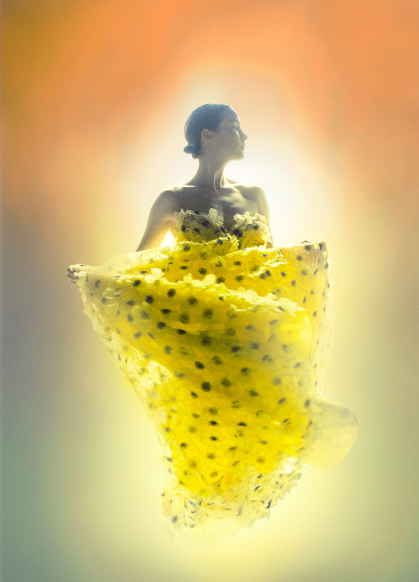 Plates « Carolina Herrera « Commissions « Erik Madigan Heck